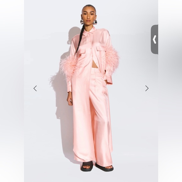 Lapointe Elegant Pink Feather-Trimmed gown - Picture 3 of 5